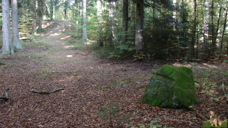 Ritterstein Nr. 123-3 Augustenköpfchen.JPG - Ritterstein Nr.123  Augustenköpfchen                               